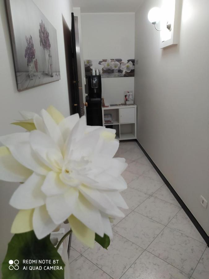 Panorama Lucano 阿尔塔穆拉 外观 照片